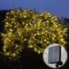 200 warm white solar lights