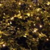 200 Warm White Solar Powered Fairy Lights on Green Wire. Multifunction.