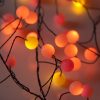 Sunset® Berry Cluster Lights on Black Wire. 240 Red, Orange/ Amber and Yellow LED Garland Fairy Lights