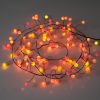 Sunset® Berry Cluster Lights on Black Wire. 240 Red, Orange/ Amber and Yellow LED Garland Fairy Lights