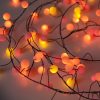 Sunset® Berry Cluster Lights on Black Wire. 120 Red, Orange/ Amber and Yellow LED Garland Fairy Lights