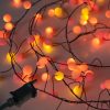 Sunset® Berry Cluster Lights on Black Wire. 240 Red, Orange/ Amber and Yellow LED Garland Fairy Lights