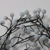 B120CLUWWBL06 120 Pastel LED Berry Cluster Lights on Black Wire. Plug in Garland Fairy Lights