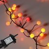Sunset® Berry Cluster Lights on Black Wire. 240 Red, Orange/ Amber and Yellow LED Garland Fairy Lights