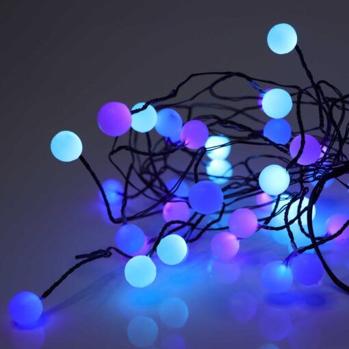 40 pastel berry cluster lights on black wire.