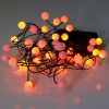 Sunset® Berry Cluster Lights on Black Wire. 40 LEDs, a combination of Red, Orange and Yellow lights. Battery operated Garland Fairy Lights with Timer