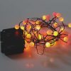 Sunset® Berry Cluster Lights on Black Wire. 40 LEDs, a combination of Red, Orange and Yellow lights. Battery operated Garland Fairy Lights with Timer