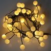 Warm White Berry Cluster Lights on Black Wire. 40 LEDs. Battery operated Garland Fairy Lights with Timer