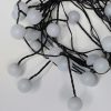 Warm White Berry Cluster Lights on Black Wire. 40 LEDs. Battery operated Garland Fairy Lights with Timer