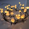 Warm White Berry Cluster Lights on Black Wire. 40 LEDs. Battery operated Garland Fairy Lights with Timer