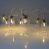 IMG_0915small Retro Glass Jar Fairy Lights. Vintage Warm White String Lights. Clear Glass Jars with Timer