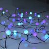 40 pastel berry cluster lights on black wire.