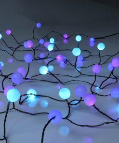 IMG_2539-1 40 pastel berry cluster lights on black wire.
