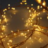 200 Warm White Cluster Copper Wire USB micro lights with USB Plug, Remote Control, Timer, Multi Function & Dimmable - available Nov 2026