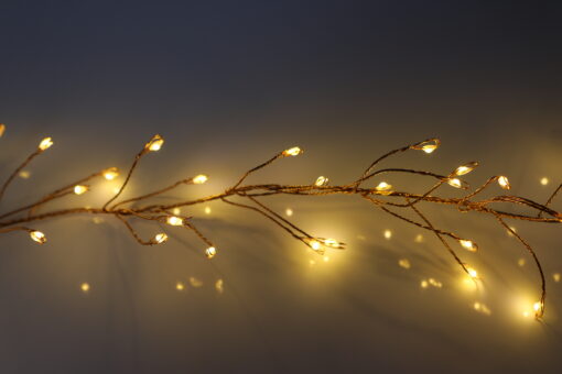 200 Warm White Cluster Copper Wire USB micro lights with USB Plug, Remote Control, Timer, Multi Function & Dimmable - available Nov 2026