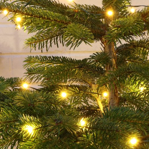 60 Warm White Battery Powered Fairy Lights on Green Wire. Multifunction with Timer