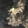 30 Warm White Battery Powered Fairy Lights on Green Wire. Multifunction with 6 hour timer