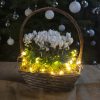 30 Warm White Battery Powered Fairy Lights on Silver Wire. Firefly Lights with Timer