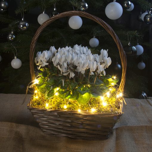 30 Warm White Battery Powered Fairy Lights on Silver Wire. Firefly Lights with Timer