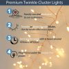 400 Warm White Twinkle/ Static Cluster Plug-in lights on Copper wire with 6 hour timer option
