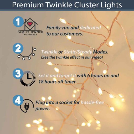 400 Warm White Twinkle/ Static Cluster Plug-in lights on Copper wire with 6 hour timer option