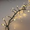 M800CLU-6V-WW-GR-04 800 Warm White Static/ Twinkle Cluster Lights with Timer on green wire. Plug in garland fairy lights. Available Nov 2026.