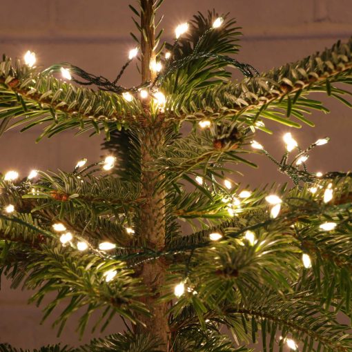 M800CLU-6V-WW-GR-05 800 Warm White Static/ Twinkle Cluster Lights with Timer on green wire. Plug in garland fairy lights. Available Nov 2026.