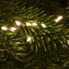 M800CLU-6V-WW-GR-06 800 Warm White Static/ Twinkle Cluster Lights with Timer on green wire. Plug in garland fairy lights. Available Nov 2026.
