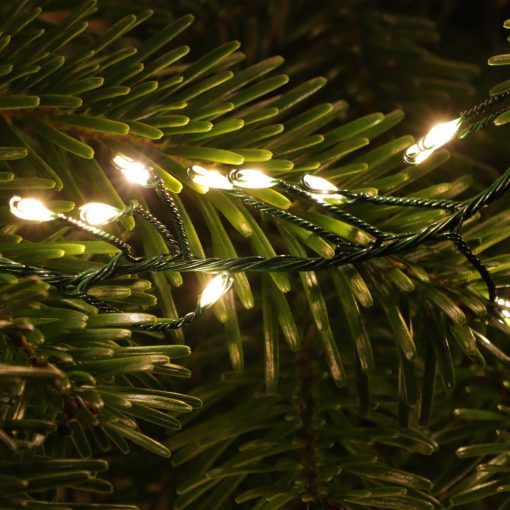 M800CLU-6V-WW-GR-06 800 Warm White Static/ Twinkle Cluster Lights with Timer on green wire. Plug in garland fairy lights. Available Nov 2026.