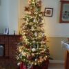 M800CLU-6V-WW-GR-20 800 Warm White Static/ Twinkle Cluster Lights with Timer on green wire. Plug in garland fairy lights. Available Nov 2026.