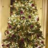 M800CLU6VWWGR1-Craig-Drummond 800 Warm White Static/ Twinkle Cluster Lights with Timer on green wire. Plug in garland fairy lights. Available Nov 2026.