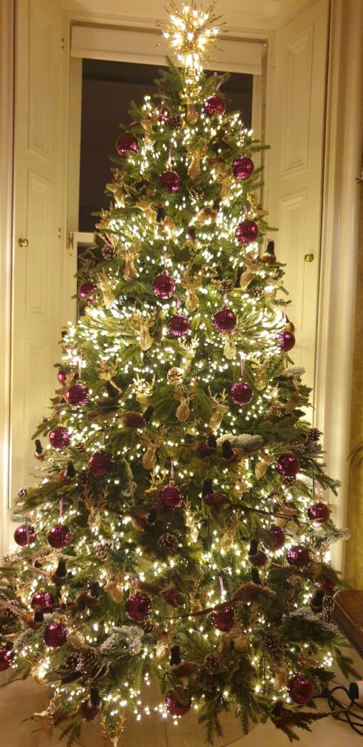 M800CLU6VWWGR1-Craig-Drummond 800 Warm White Static/ Twinkle Cluster Lights with Timer on green wire. Plug in garland fairy lights. Available Nov 2026.