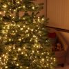 M800STR-31V-WW-GR-T-01 800 Warm White Twinkling LED String Lights on Green Wire. Plug in Fairy Lights.