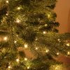 M800STR-31V-WW-GR-T-02 800 Warm White Twinkling LED String Lights on Green Wire. Plug in Fairy Lights.