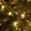 M800STR-31V-WW-GR-T-04 800 Warm White Twinkling LED String Lights on Green Wire. Plug in Fairy Lights.