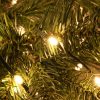 M800STR-31V-WW-GR-T-05 800 Warm White Twinkling LED String Lights on Green Wire. Plug in Fairy Lights.