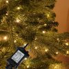 M800STR-31V-WW-GR-T-07 800 Warm White Twinkling LED String Lights on Green Wire. Plug in Fairy Lights.