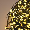 M800STR-31V-WW-GR-T-09 800 Warm White Twinkling LED String Lights on Green Wire. Plug in Fairy Lights.