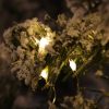 MLED100STR-5V-WW-05 100 Warm White LED Fairy Lights on Silver Wire. Remote, Dimmer, Timer & Multifunction. Plug in String Lights