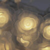 16 Rose String Battery Lights, 2m long for indoor use