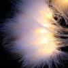 QB-LED16F-STR-BAT-WW-TR-03 Feather Lights with Warm White LEDs. Battery Powered Fluffy Fairy Lights with Timer