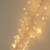 cluster-on-copper Premium LED Cluster Lights. 400 Warm White LEDs on Copper wire - available mid Nov